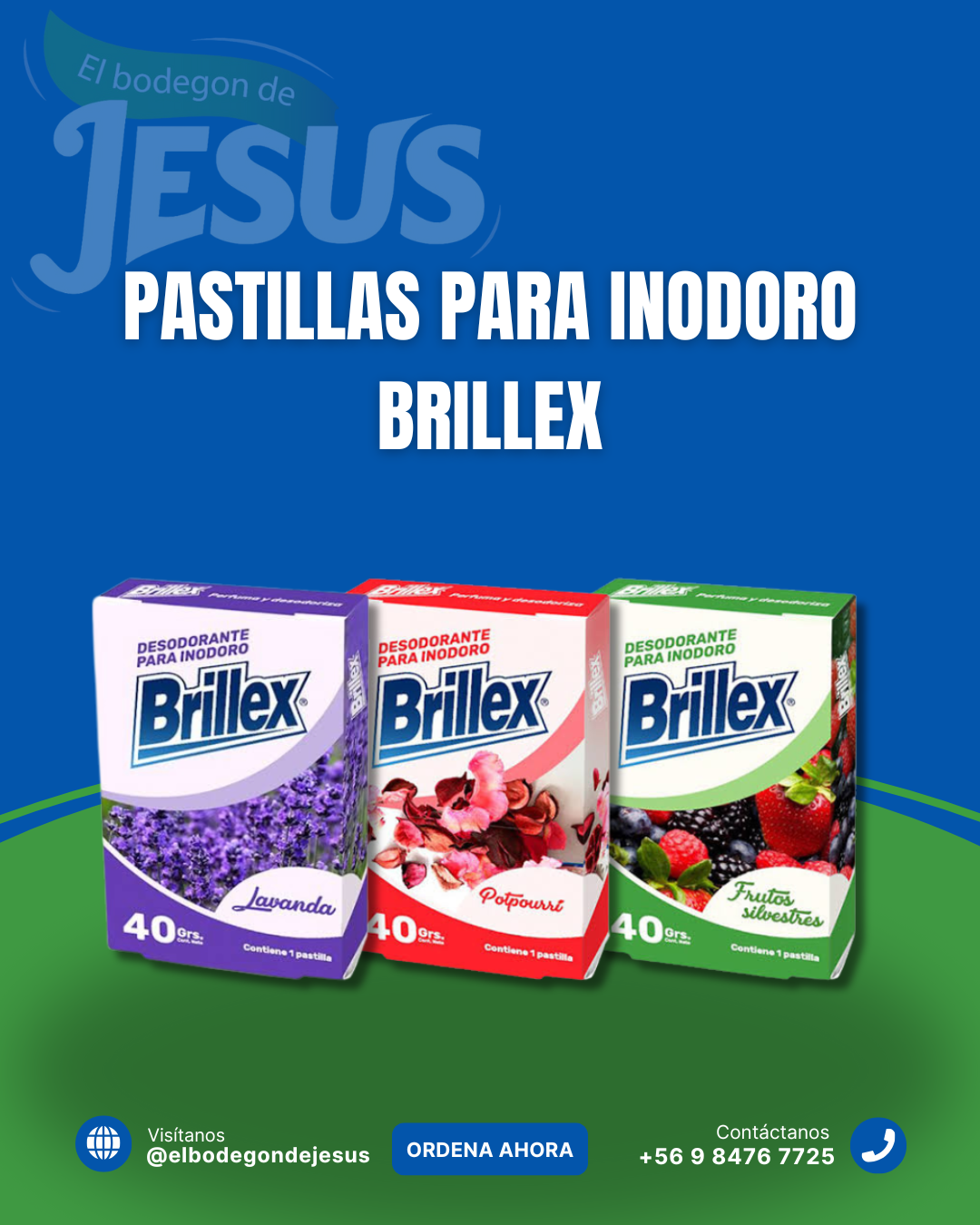 PASTILLAS INODORO