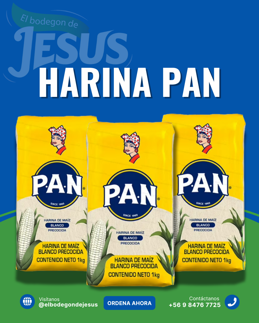HARINA DE MAÍZ PAN