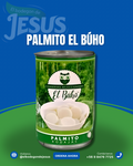 PALMITOS BÚHO