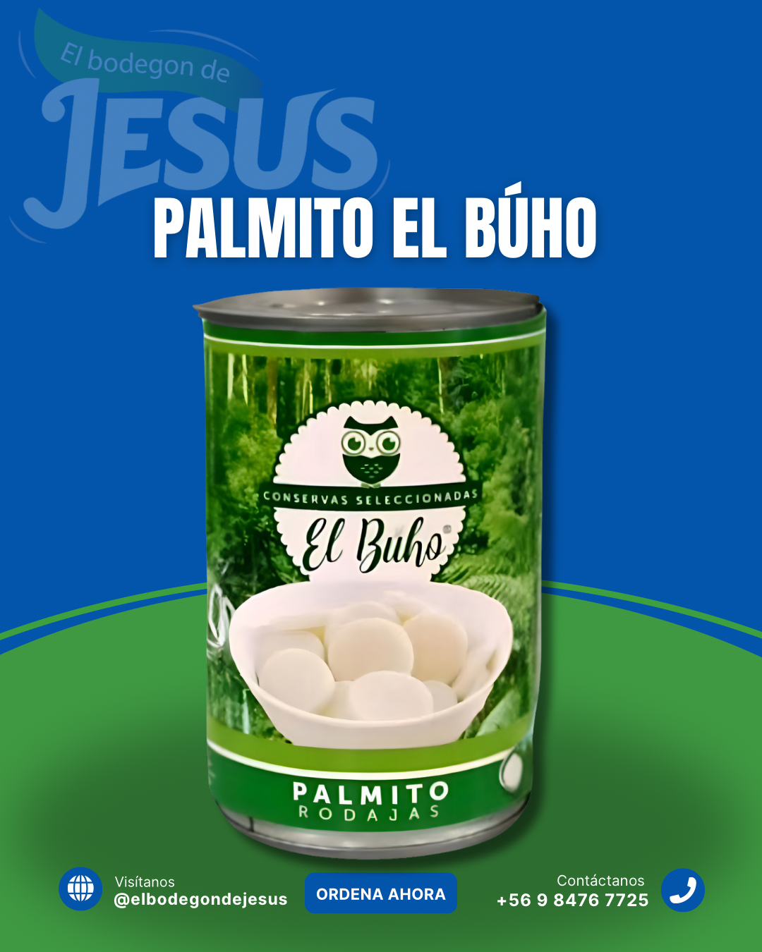 PALMITOS BÚHO