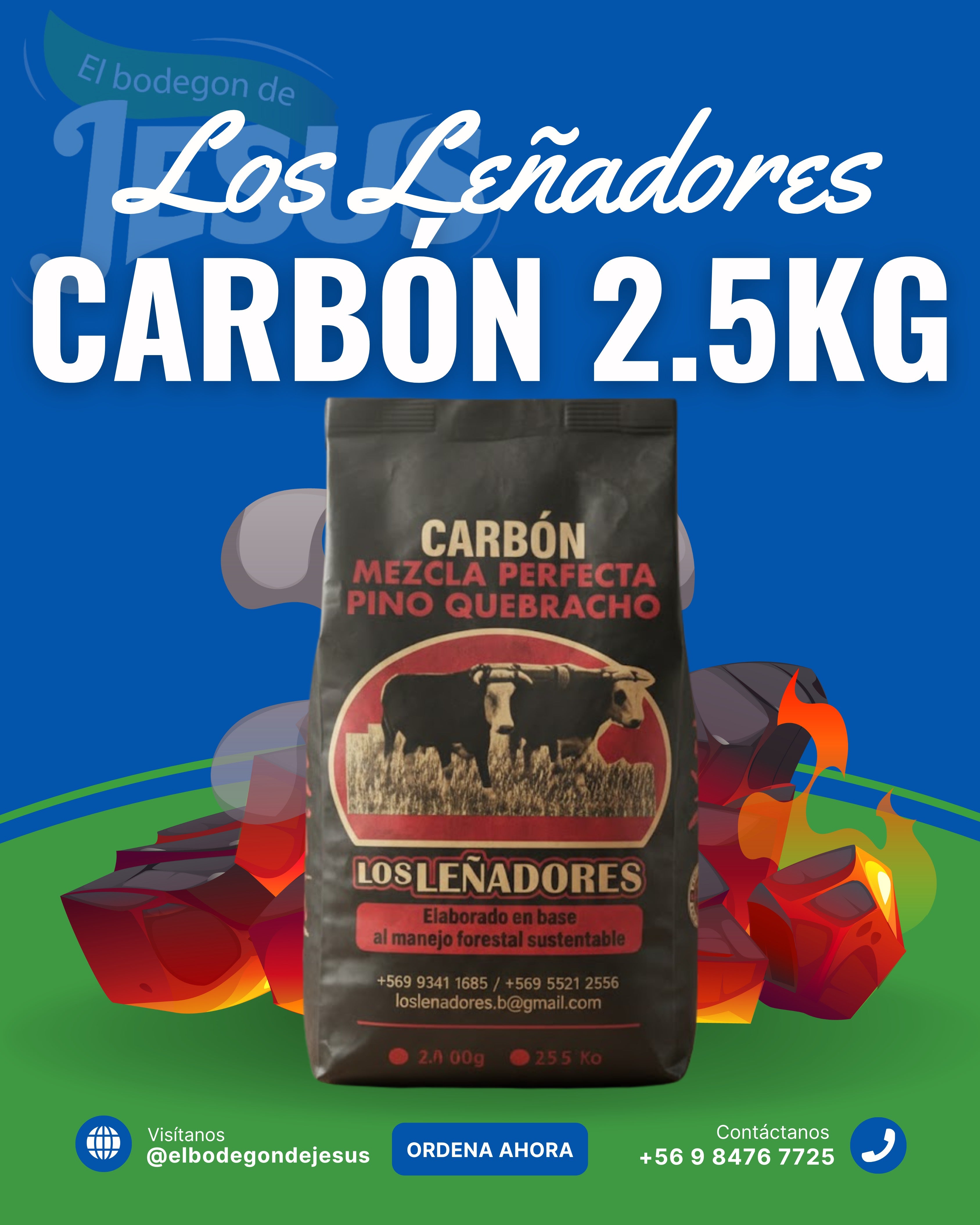 Carbón de Pino ideal para asado 2.5kg