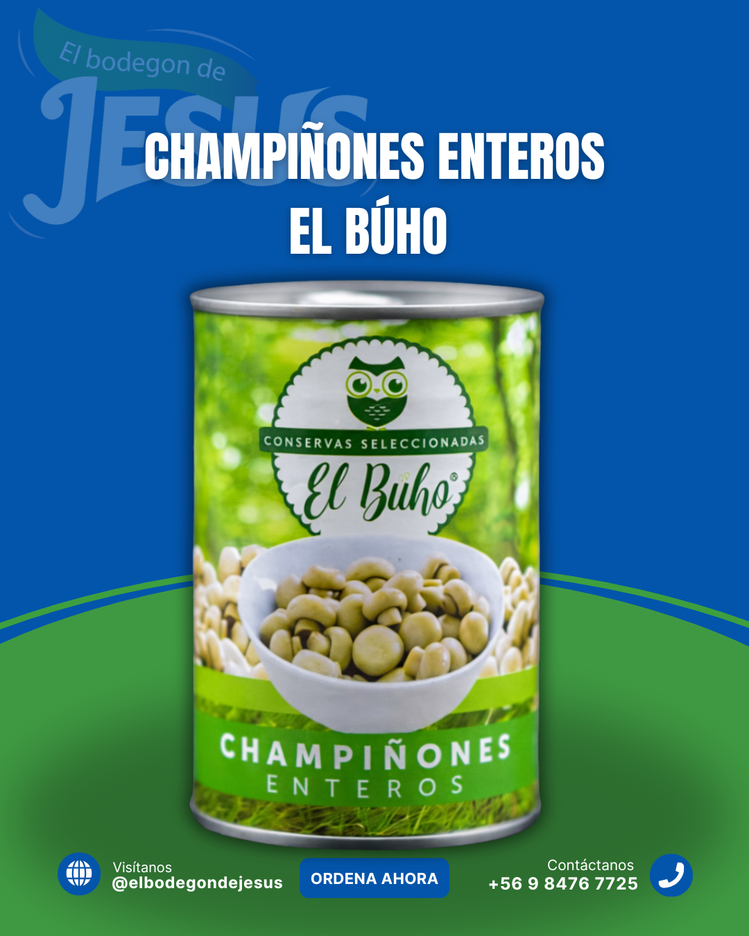 CHAMPIÑONES ENTEROS